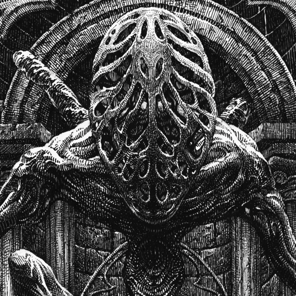 Amygdala, zoomed in