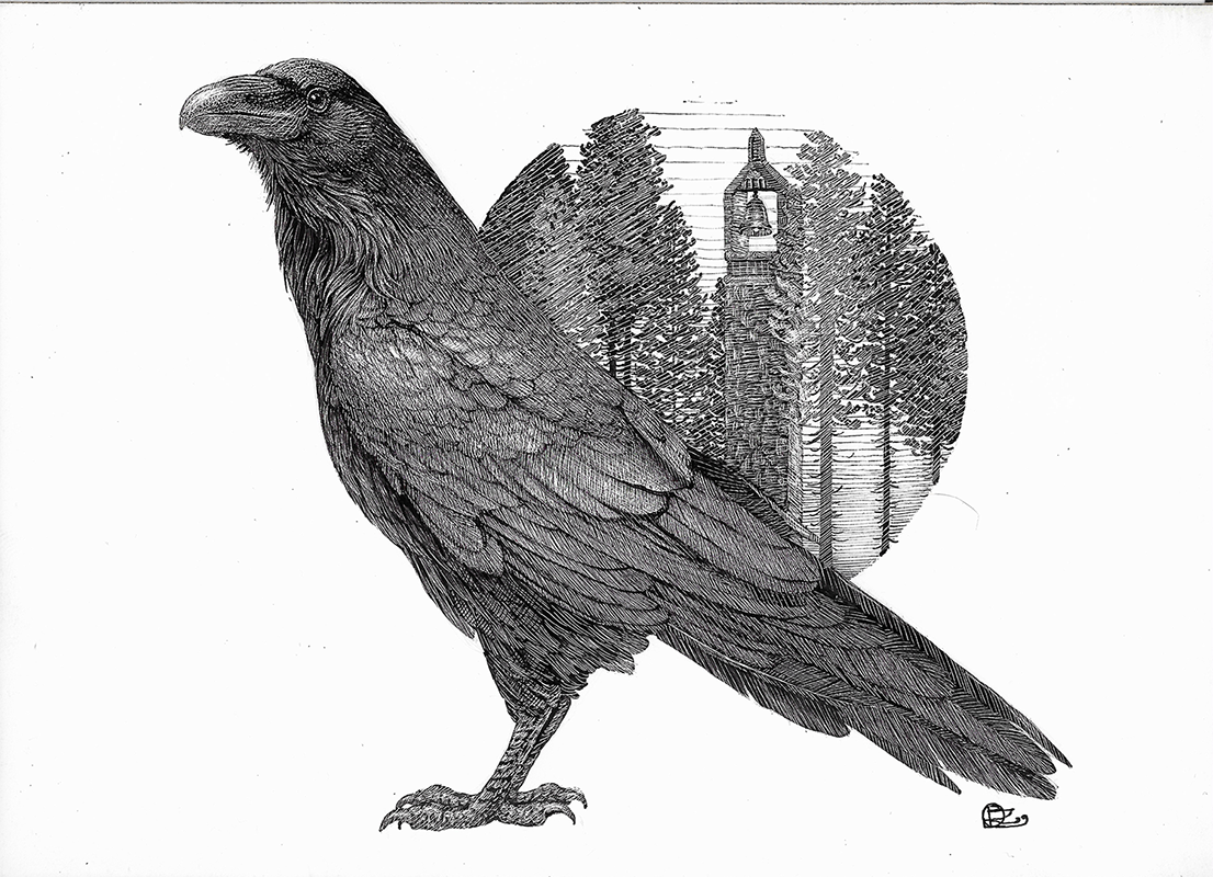 Raven Study
